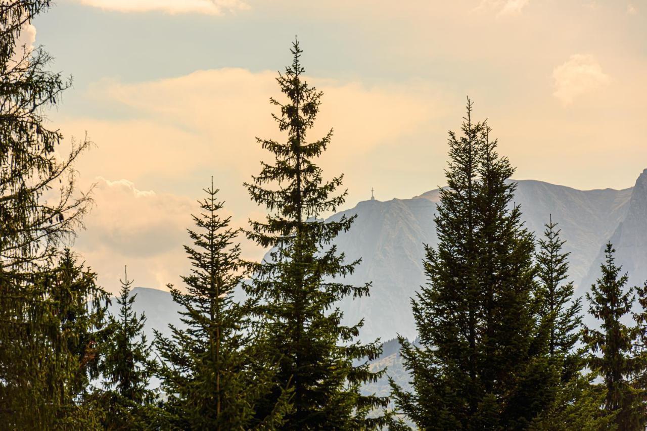 Pensiunea Hilltop Predeal Dış mekan fotoğraf